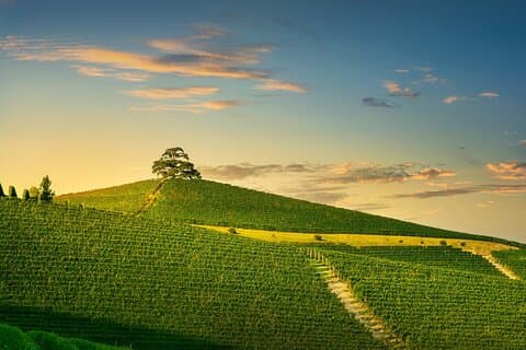 Privat Barolo vinresa från Milano