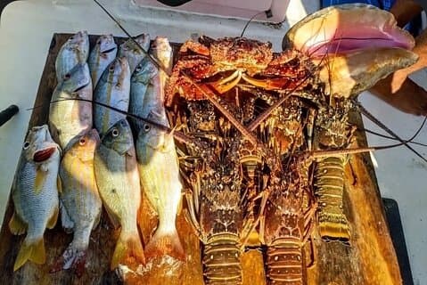 リーフフィッシングビーチのクックアウト