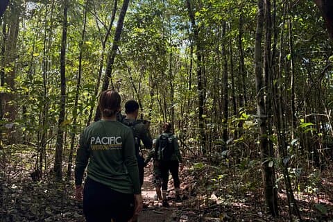 Expedição de caminhada costeira ao Drake