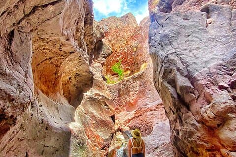 Las Vegas: Arizona Hot Springs vandreture med en certificeret vandretur guide