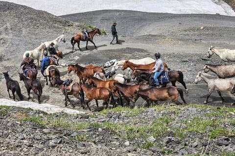 Horse Herd Migration from Vashlovani to Tusheti National Park