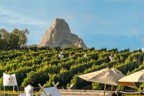 Wine and Cheese Tour with Peña de Bernal and Tequisquiapan