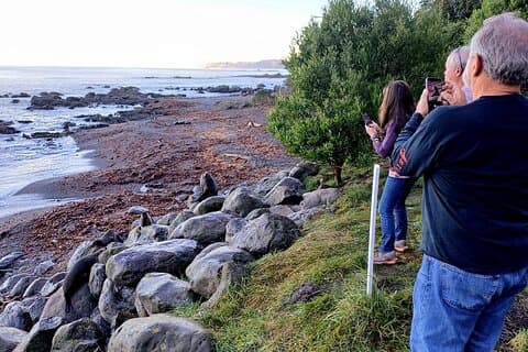 Verken Kaikoura Coast in een dag vanuit Christchurch Privétour