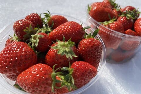 Winter Strawberry Picking & Tasting Experience (Near Sapporo)