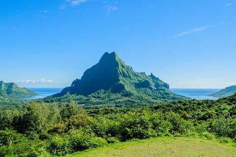 Moorea Island Highlights by Car: Private Shore Tour from Port