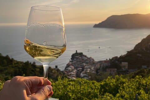 Heroic : Vineyard Trekking & Authentic Wine Tasting in Vernazza