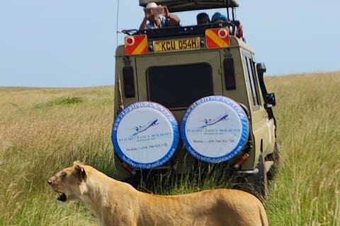 3-daagse Masai Mara Kenia Big Five privésafari