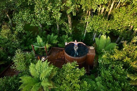 Tauranga Shore Exc: Nature's Best: Lakes, Forests, Falls and Spas