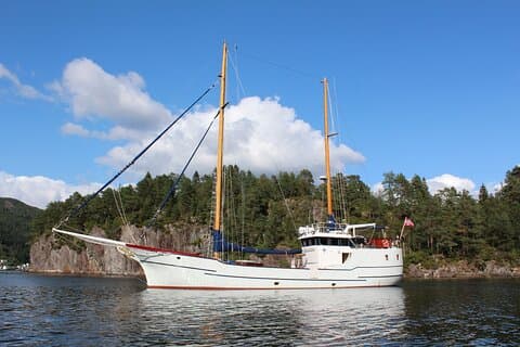 Tromsø Luxury Summer Fjord Cruise with Lunch