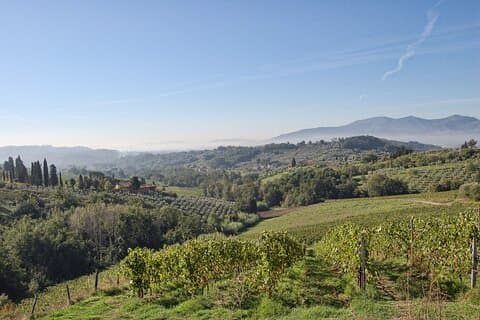 Self Guided Bike Tour from Lucca to Montecarlo Wine Roads