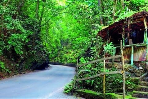 Guided Sightseeing and Shopping Tour in Ocho Rios