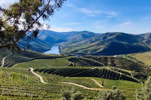 Signature Moment in Pinhão : Private Guide, Wine Tasting & Cruise