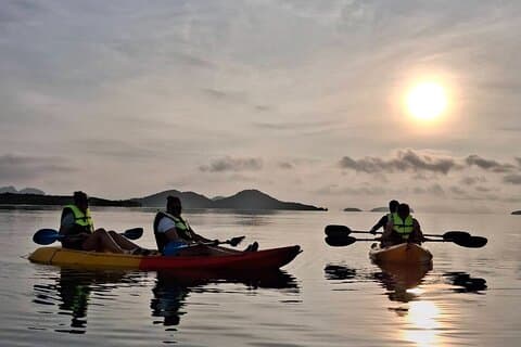 Tour in barca e kayak delle mangrovie all'alba