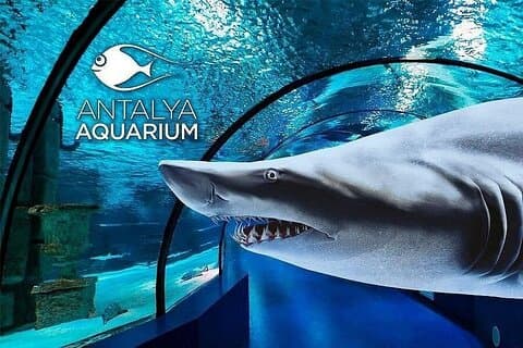 Kemer Aquarium and Fun Park Tour All Inclusive with Hotel Pickup