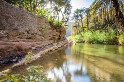 Paradise Valley tur, säker körning, vår, vyer och getstopp