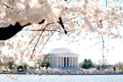 Washington DC Monuments Tour with 10+ Stops and Boat Cruise