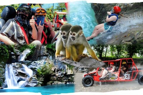 3 em 1 : Cataratas Monkeyland e Buggies Baía Amber ou Baía de Taino