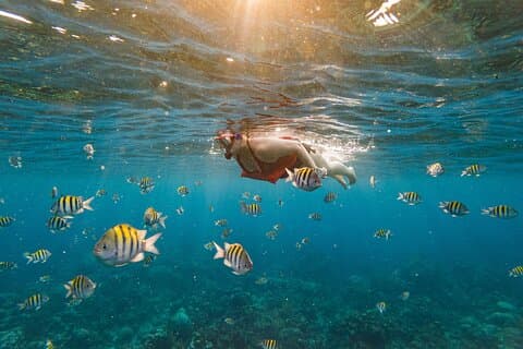 Roatan Private Tour: Snorkling, Wildlife Sanctuary og strand