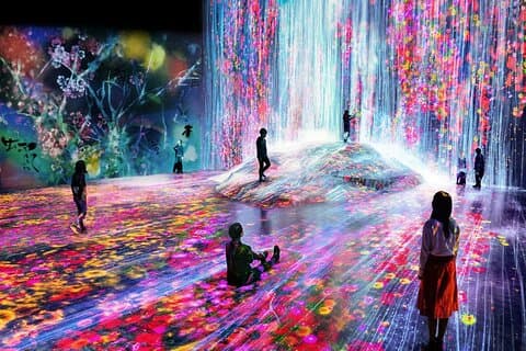 Teamlab Phenomena biljetter och överföringsalternativ