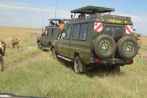 Safari de 3 dias em grupo Masai Mara com embarque