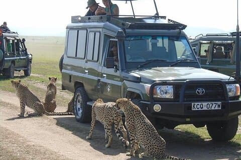 Safari de 3 dias no Masai Mara | Excursão particular em jipe 4WD