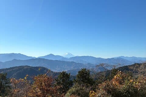 Half Day Hiking at Mt Takao Back to Shinjuku by Noon