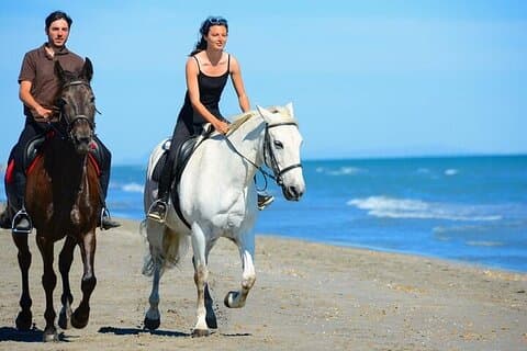 2 - Hora de experiência a cavalo em Hurghada: praia e deserto