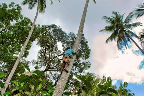 Kulturella byn och marknadstur i Zanzibar