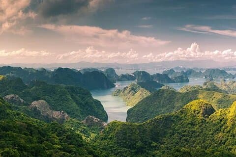 Half-Day Cat Ba National Park Trek & Hidden Cave with Pro Guide