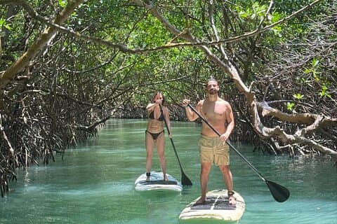 Stand up paddle ride by the natural mango tunes