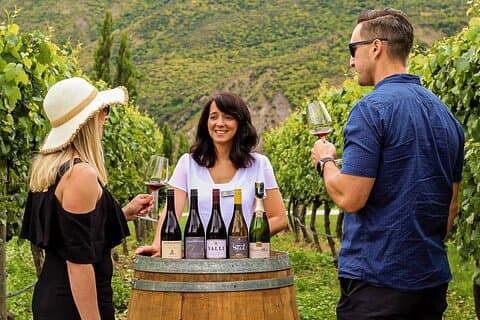 Klassieke wijntour door Queenstown: 3 wijnmakerij bezoeken, Cave Tour & kaas