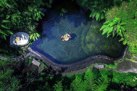 Bali Halbtagestour Affenwald, Reisterrasse UNESCO - Wasserfall