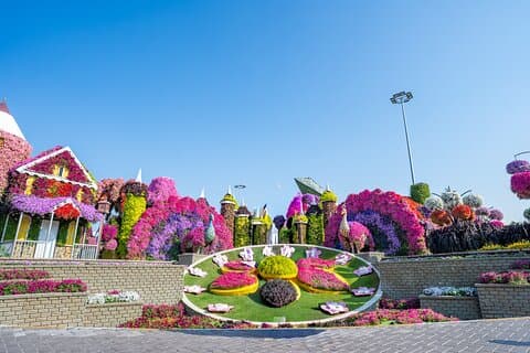 Private Photo Session at Dubai Miracle Garden