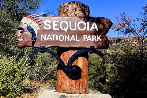 Giant Sequoia National Park privat dagstur från Los Angeles