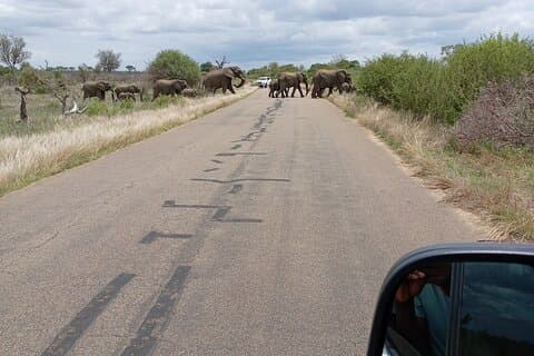 5 nights 6 days luxury Kruger park tour