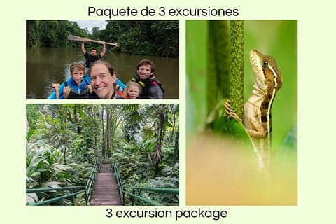 Tortuguero National Park Adventures (Canoa, viewpoint, hike)