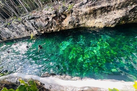 Entradas a 4 cenotes casa tortuga 2 cavernas y 2 al aire libre