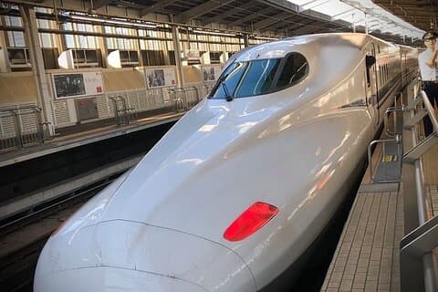 Kyoto Day Trip from Tokyo by Bullet Train Private Guided Tour