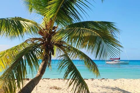 Tour privado VIP en yate por la isla de Saona
