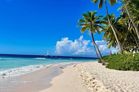 Une journée magique sur l'île de Saona