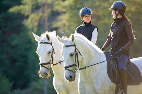 Exclusive Horseback Experience and Wine Tasting