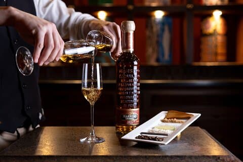 Blending Maestro Dobel