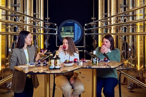 AOVEland: Een premium ervaring bij een iconische olijfmolen (Baeza)