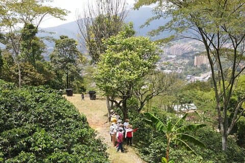 Upplevelse på en kaffefarm i Medellín