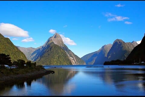 Tour privato di un giorno a Milford Sound da Queenstown Ritorno
