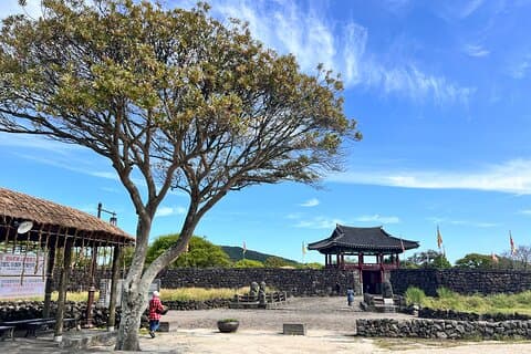 Tour in autobus a est dell'isola di Jeju dalla città di Seogwipo, isola di Jeju