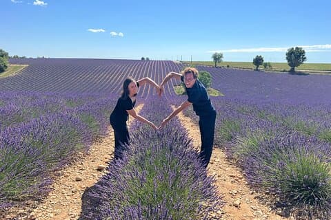Excursión por los campos de lavanda de la Provenza desde Aix-en-Provence