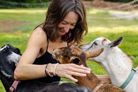 Goat Yoga Experience à Asheville