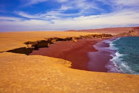 Full Day Tour Ballestas Islands Paracas and Huacachina Reserve