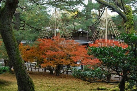Visite privée d'une demi-journée à Kanazawa, jardin, château et geisha